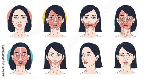 Understanding facial anatomy visualizing muscular structures for aesthetic applications and wellness