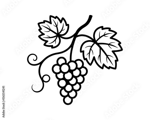 A bunch of grapes with leaves vector illustration
