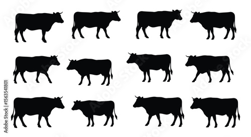 Diverse Black Silhouette Cow Vector Collection - Livestock, Farm Animal, Cattle, Beef, Dairy, Agriculture, Ranch, Rural Life Design Elements