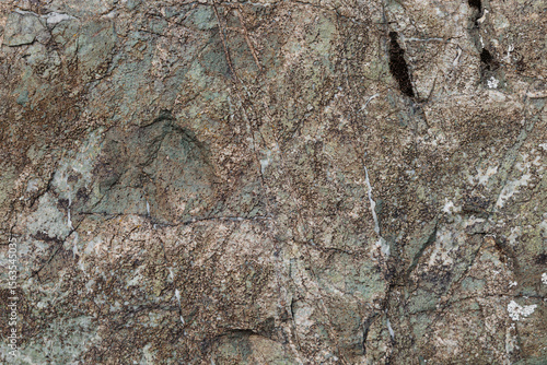 Fotografie vista macro di una superficie di roccia naturale dalle sfumature di grigio chiar