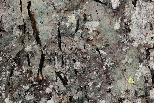 Fotografie vista macro di una superficie di roccia naturale dalle sfumature di grigio chiar