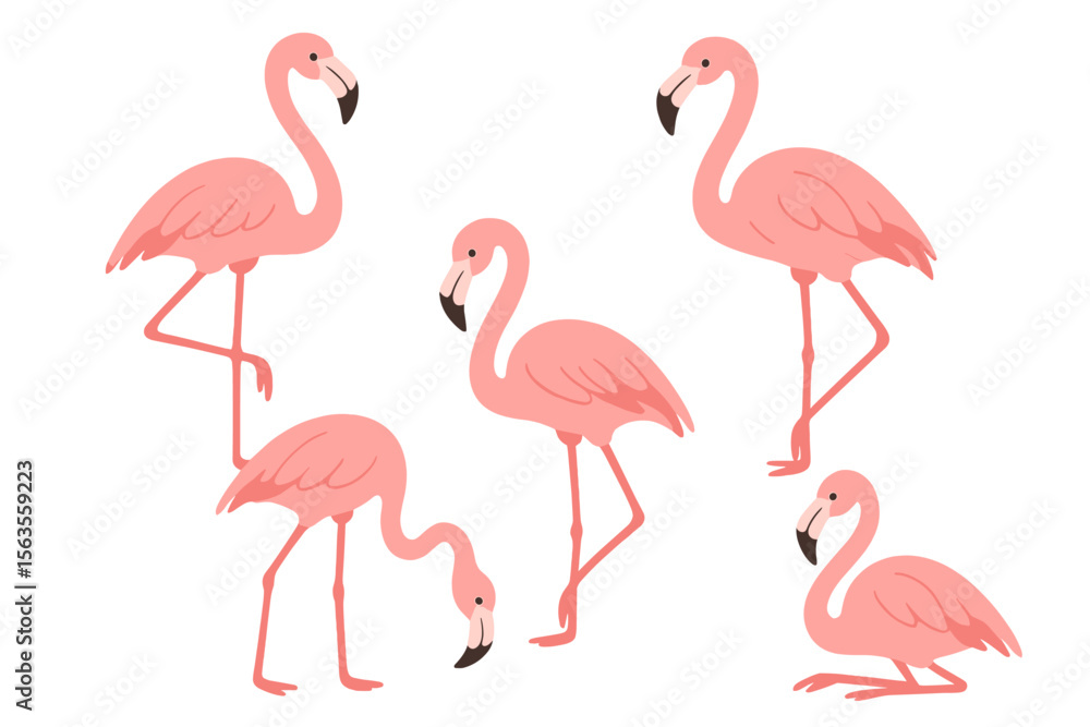 Fototapeta premium Graceful pink flamingos in various poses standing together in a tropical habitat during daylight hours