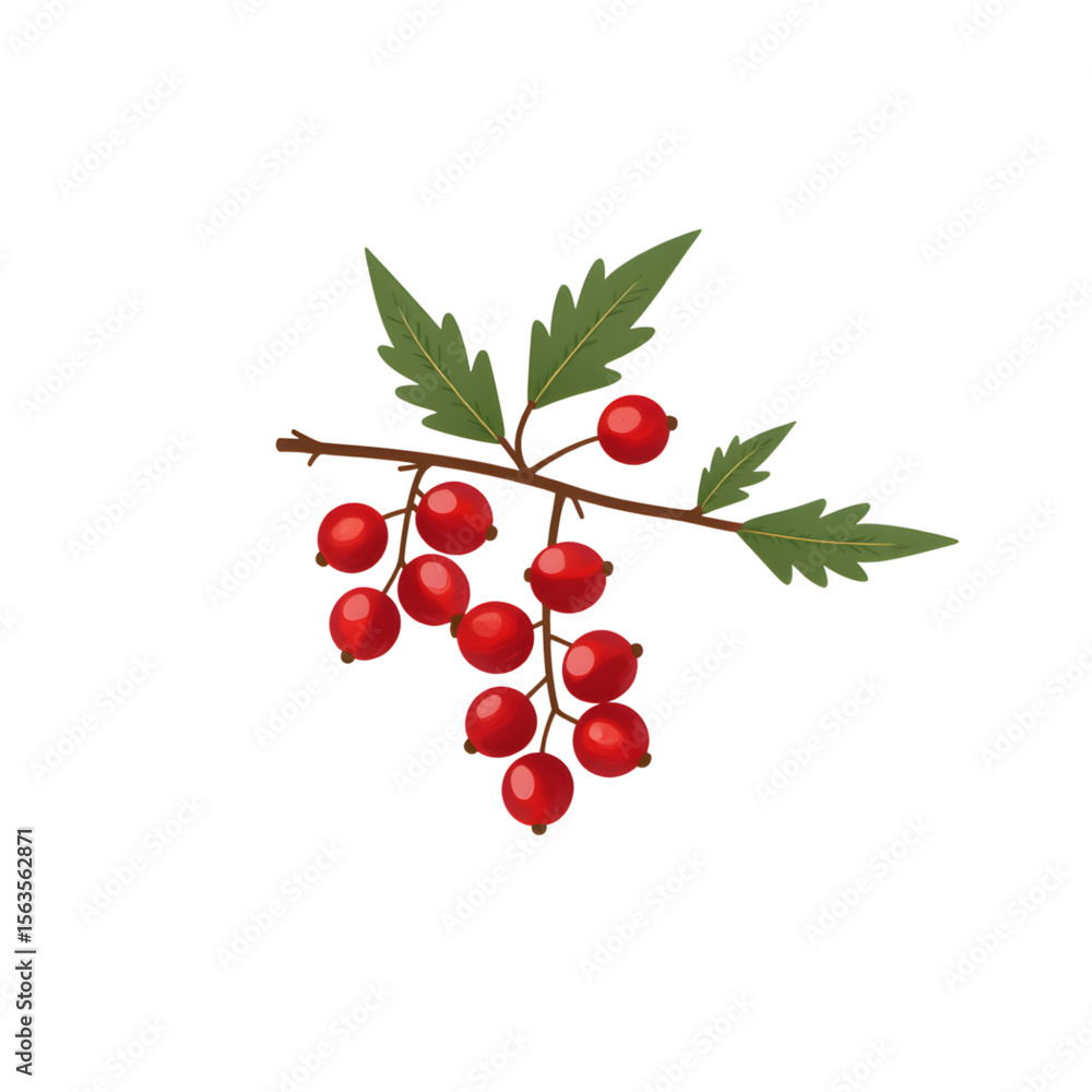 Obraz premium Red currant branch with green leaves on white background 