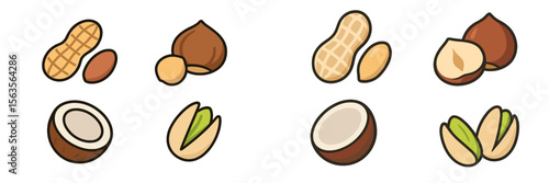 Colorful illustrations of various nuts displayed in a clear and engaging layout on a white background