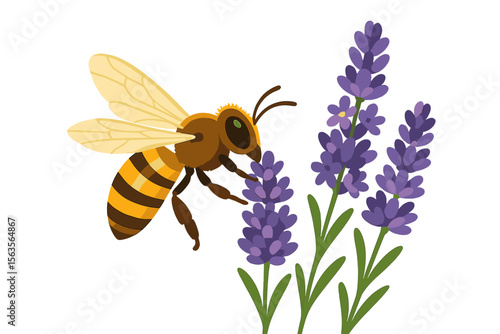 Bee pollinates lavender flowers in a vibrant garden during a sunny day