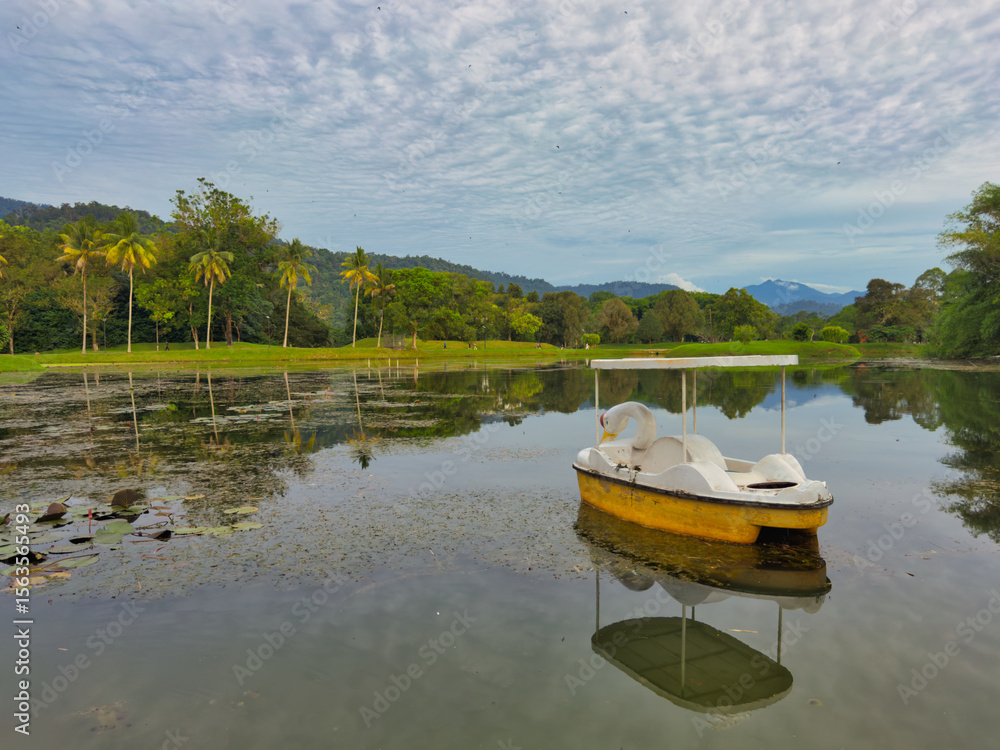 Swan paddle boat at Taiping Lake Garden, the oldest public garden in Malaysia Swan paddle boat at Taiping Lake Garden, the oldest public garden in Malaysia