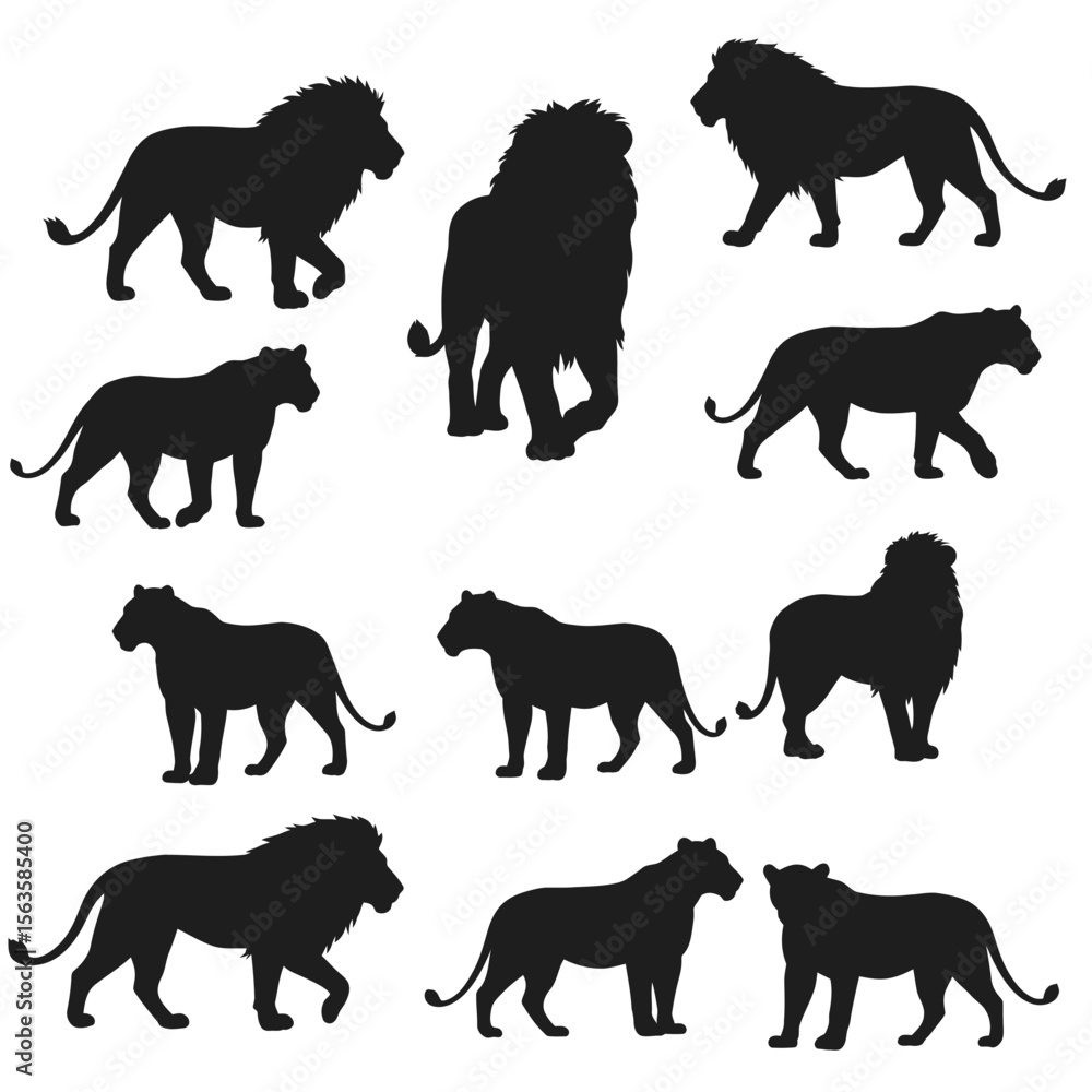 Obraz premium Silhouettes of Lion and Lioness Walking and Standing in Various Poses Vector Illustration for Wildlife and Nature Designs