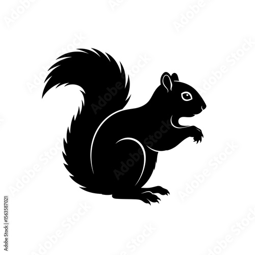 squirrel vector silhouette