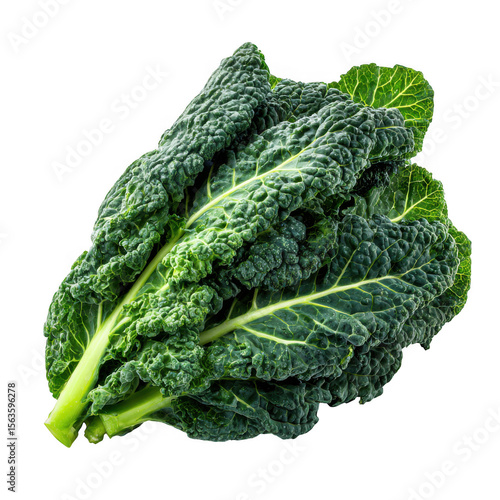 Fresh lacinato kale leaves with textured dark green color isolated on transparent background