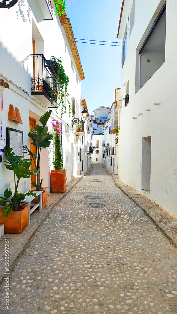 Fototapeta premium Narrow cobblestone street in a picturesque Spanish village. Whitewashed buildings line the street, adorned with colorful flowers and greenery.