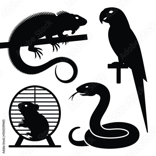 Black silhouette vector illustration of iguana parrot hamster and snake on a white background