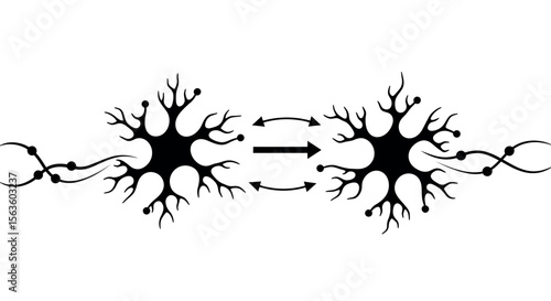Neural connections vector illustration for science education and medical design