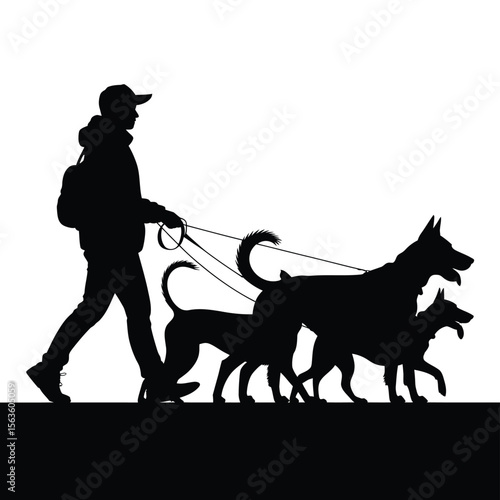 Silhouette of person walking dogs on leashes black and white vector illustration
