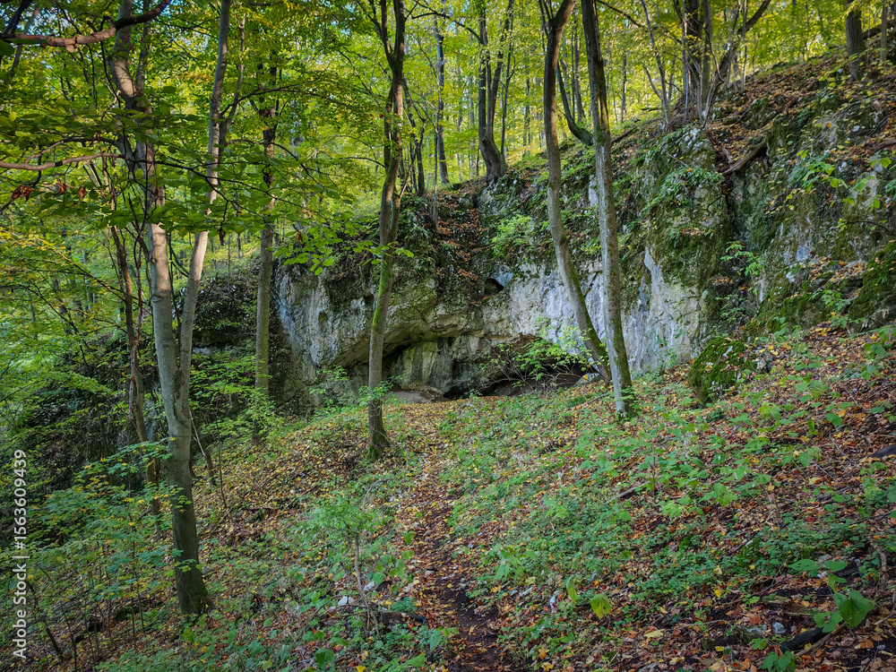 Obraz premium The Felső-forrási Cave lies hidden in a lush forest of the Bükk Mountains, with its modest entrance opening beneath a mossy limestone wall.