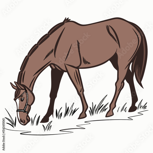 Brown horse grazing on grass field
