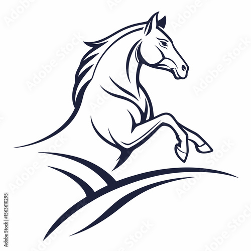 Dark blue horse rearing on white background animal equine