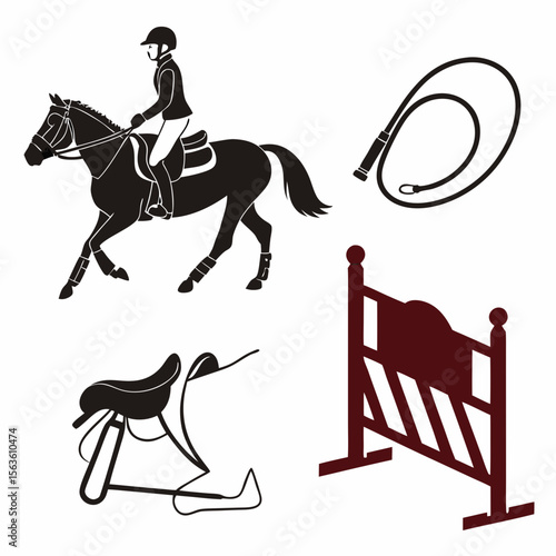 Equestrian rider horse tack jumping obstacle whip saddle bridle