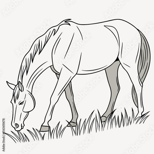 Graceful equine grazing amidst lush green grass horse eating