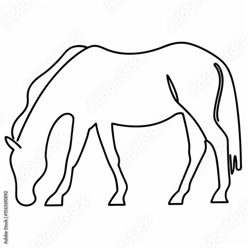 Horse grazing outline on a white background animal black and white