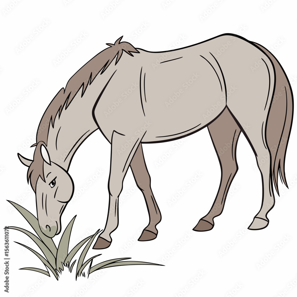 Obraz premium Light brown horse eating grass equine animal
