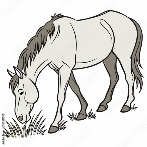 Light gray horse eating grass on white background grazing