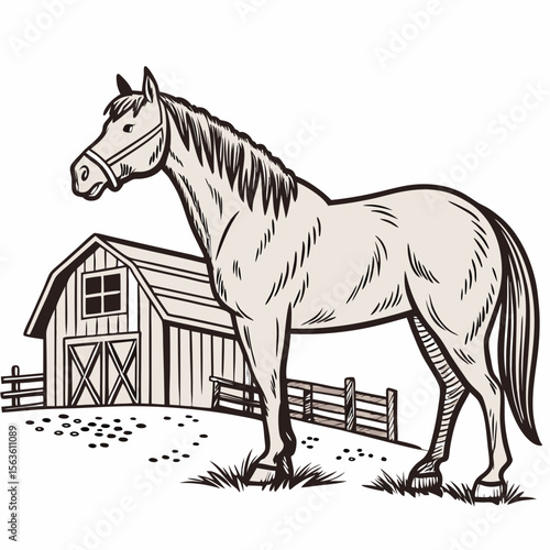 Light colored horse standing near barn and fence farm animal