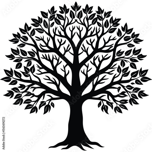 Silhouetted tree with full canopy and detailed branches and leaves