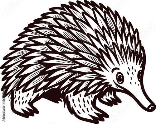Hand drawn echidna illustration in vintage engraved spiky monotreme animal isolate on white background