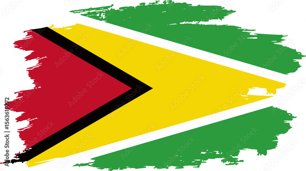 Obraz premium flag of guyana with brush style