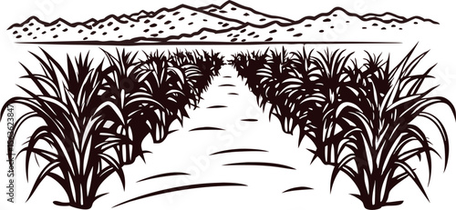 Hand drawn sugarcane plantation landscape with rows of plants and distant mountain background illustration