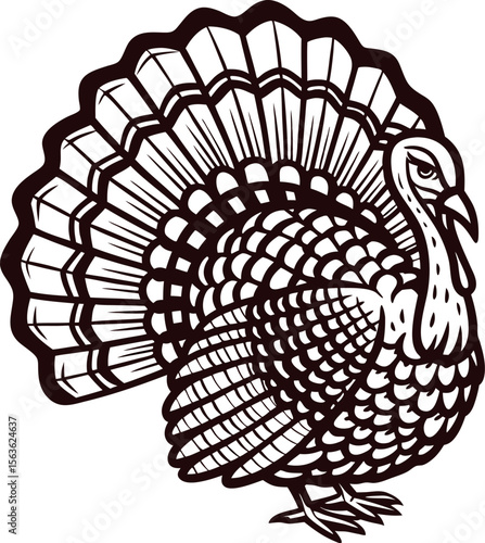 Hand drawn turkey illustration with detailed feathers vintage engraved bird sketch in black and white isolated