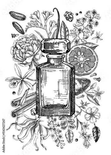 Minimalist perfume brand flyer design. Aromatic plants and flowers hand drawn vector illustration. Perfumery and cosmetics gift card, floral invitation, book cover, poster. NOT AI generated