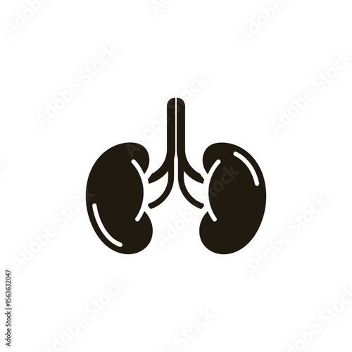 Kidneys Icon Sign Design Vector