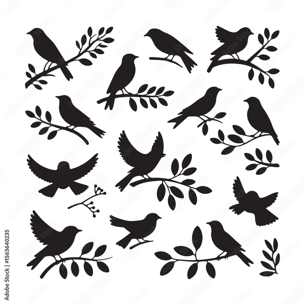 Obraz premium Black Bird Vector Silhouettes with Branches