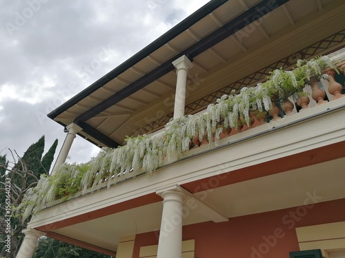 Glicini sulla balconata