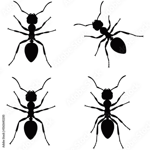 Black ants vector set, tiny insects forming a team of worker ants, with macro close-up details of their antenna, jaw, and legs against a white background