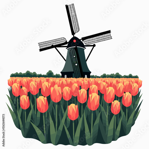 Colorful Tulip Field with Traditional Dutch Windmill Illustration in a Flat Design Style