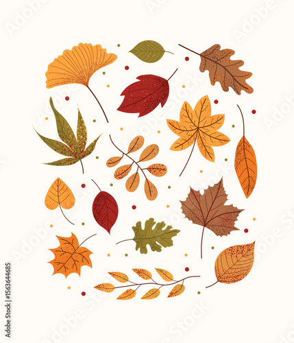Autumn leaves set in flat style. Collection cute different leves. Fall season composition. Vertical layout design for cards, posters, invitations.