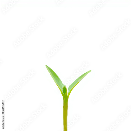 Wallpaper Mural Green Sprout Emerging in Spring Sunlight

 Torontodigital.ca