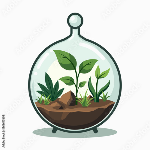 Illustration of a Small Terrarium with Green Plants and Rocks, a Miniature Ecosystem