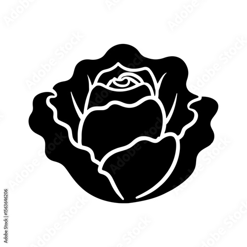 Minimalist black silhouette of lettuce with layered leaves on white background