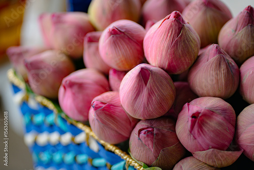 Fototapeta Naklejka Na Ścianę i Meble -  Pink lotus flowers are sold on street by flower market