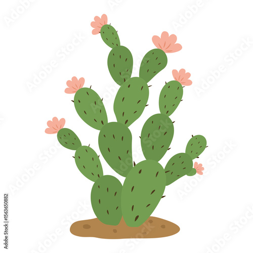 Prickly pear cactus with blooming pink flowers. Botanical vector illustration featuring a prickly pear cactus in a hand-drawn style