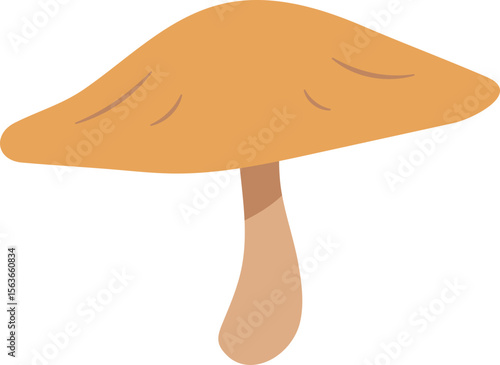 Colorful Illustrated Wild and Edible Mushrooms – Botanical Cartoon Fungi Collection