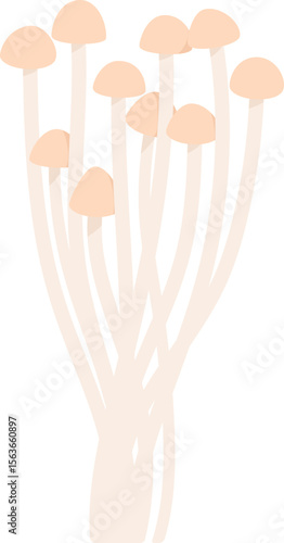 Colorful Illustrated Wild and Edible Mushrooms – Botanical Cartoon Fungi Collection