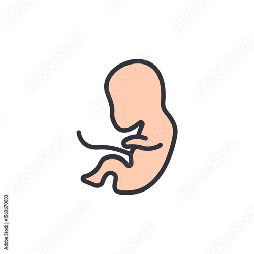 Illustration Of Developing Fetus Symbolizing Growth And New Life