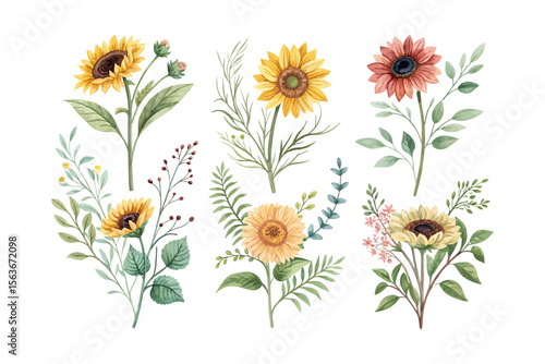 set of watercolor Sunflower Branch vector illustration isolated on white background