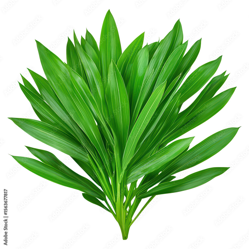 Obraz premium Vibrant Green Tropical Leaves Arrangement Isolated on White Background, isolated on transparent background.