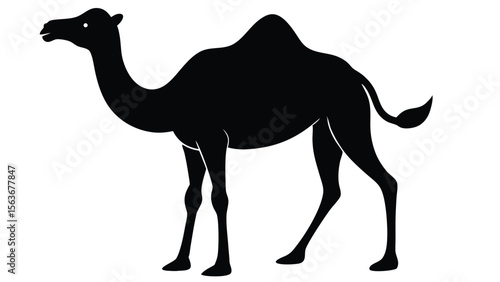 Silhouette of a Camel Desert Animal Illustration