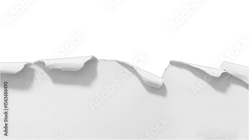 Transparent Background: A close-up horizontal rip in white paper with curled edges, creating a dynamic reveal or a textured border for your creative projects.

